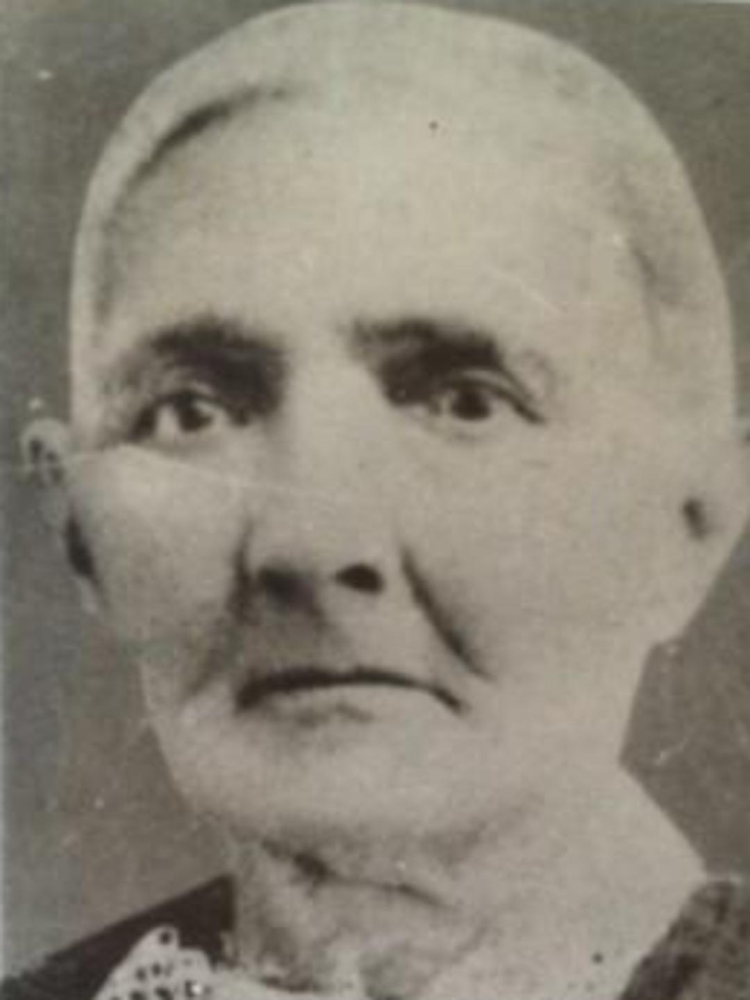 Sarah Ann Ward (1810 - 1886) Profile
